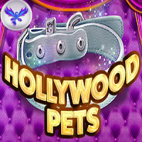 HOLLYWOOD PETS