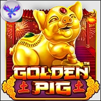 GOLDEN PIG